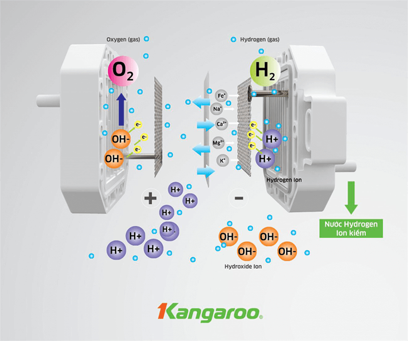 Máy Lọc Nước Ion Kiềm Kangaro Hydrogen KG100EO Chính Hãng